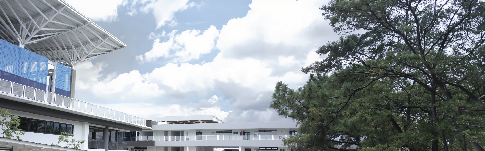 Colegio Interamericano (Guatemala)