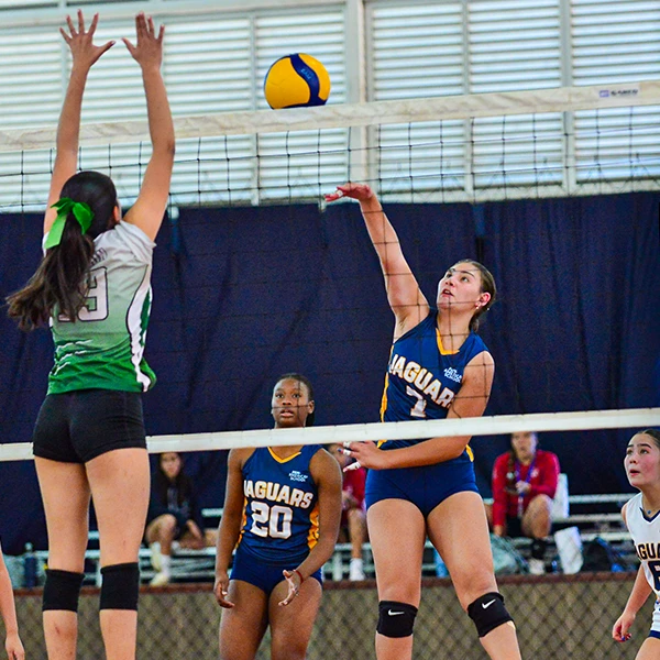 PAS AASCA Photos 600x600 - 04