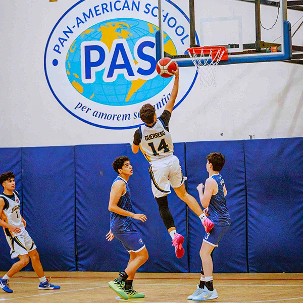 PAS AASCA Photos 600x600 - 01