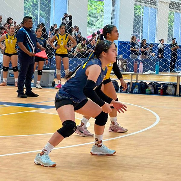 Volleyball